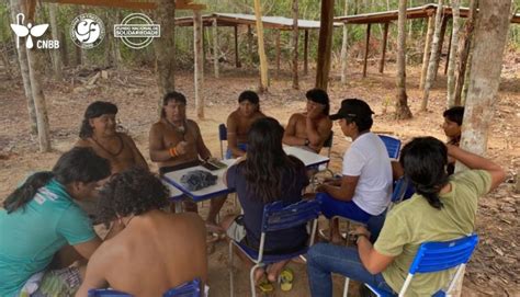 Apoio Do Fns Projeto Potencializa Cria O De Material Did Tico Na