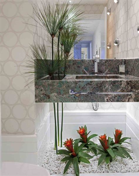 Plantas para banheiro 35 espécies para decorar frescor Bathroom