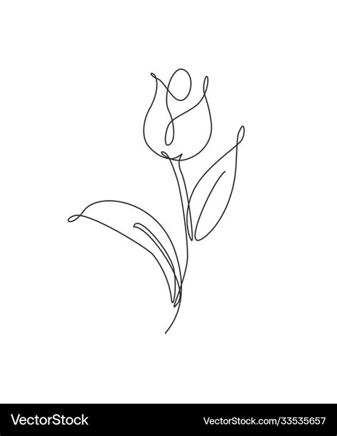 One Single Line Drawing Beauty Fresh Tulip Flower Vector Image