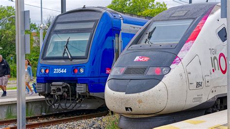 Chat écrasé par un TGV la SNCF condamnée mesinfos