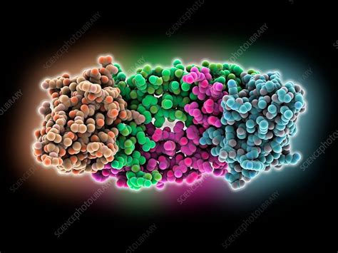 Vascular Endothelial Growth Factor Stock Image C035 6327 Science