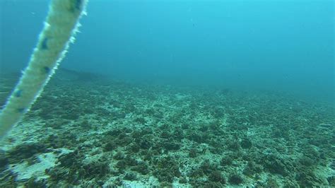 Douglas Shoal Sediment Sampling Panorama Video 2019 A1 6 GH010320