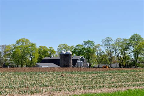 Spring, Appleton Farms, Ipswich MA