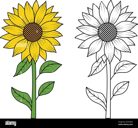 Sunflower Clipart Sunflower SVG Sunflower SVG Cut File Sunflower