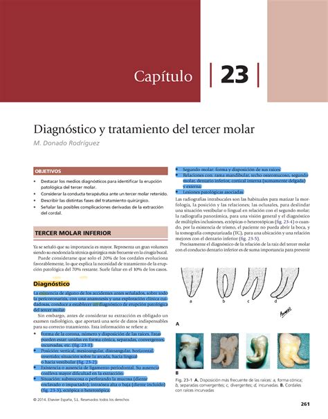 Donado Cirugia Bucal Patologia Y Tecnica Cap Tulo