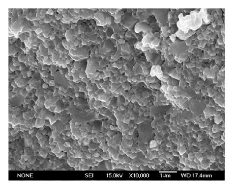 Sem Images Of The Fracture Surface Of Hot Pressed A Al O Wt