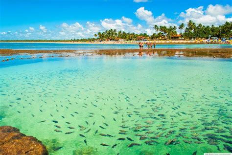 Lugares Para Visitar En Brasil Tour Idiomas