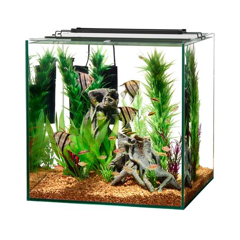 Aqueon Frameless Cube Aquarium 60 Gallon Petco