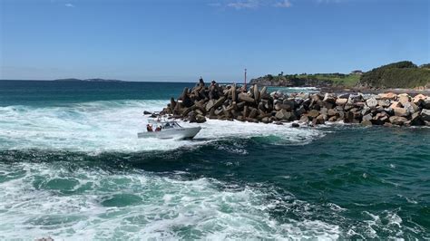 Crossing Narooma Bar Youtube