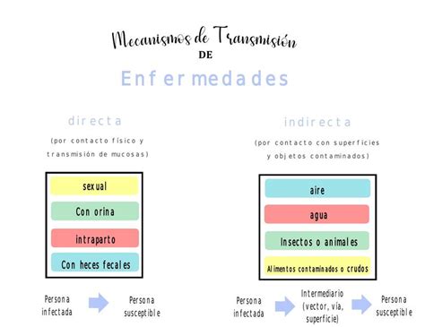 Mecanismos de transmisión de enfermedades uDocz creators uDocz