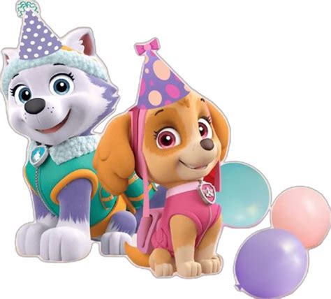 Pin By Lupiit Mg On Fiestas Infantiles Everest Paw Patrol Skye Paw