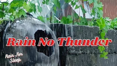 Rain Sounds For Sleeping No Thunder Rainstorm White Noise Hours