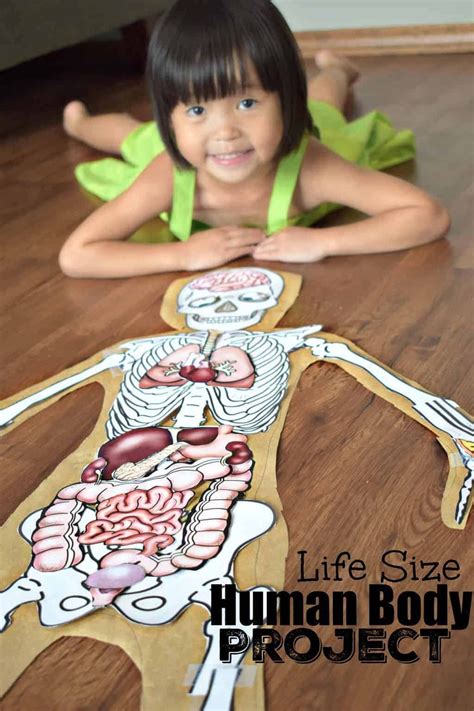 Human Body Project With Free Printables Artofit