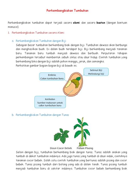 Perkembangbiakan Tumbuhan Pdf