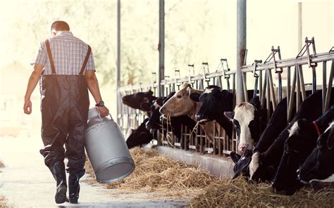 Pr Vention Du Suicide Chez Les Agriculteurs Le S Nat Propose D