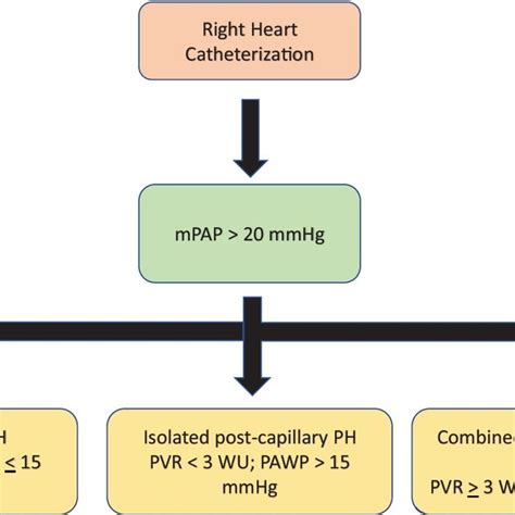 Hemodynamic Definitions Of Pulmonary Hypertension Types Download Scientific Diagram