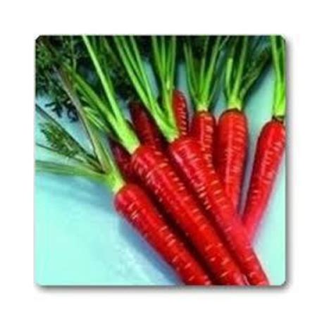 Buy Red Carrots Gajar Hybrid Seeds Online At Lowest Price