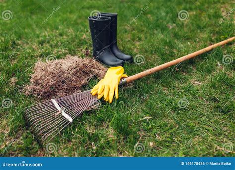 Cleaning Lawn From Dry Grass With A Rake In Spring Garden Heap Of