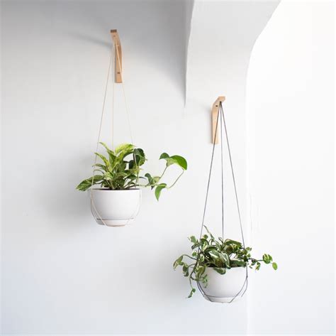 Gancho De Pared Para Colgar Plantas Madera Percha De Planta Etsy