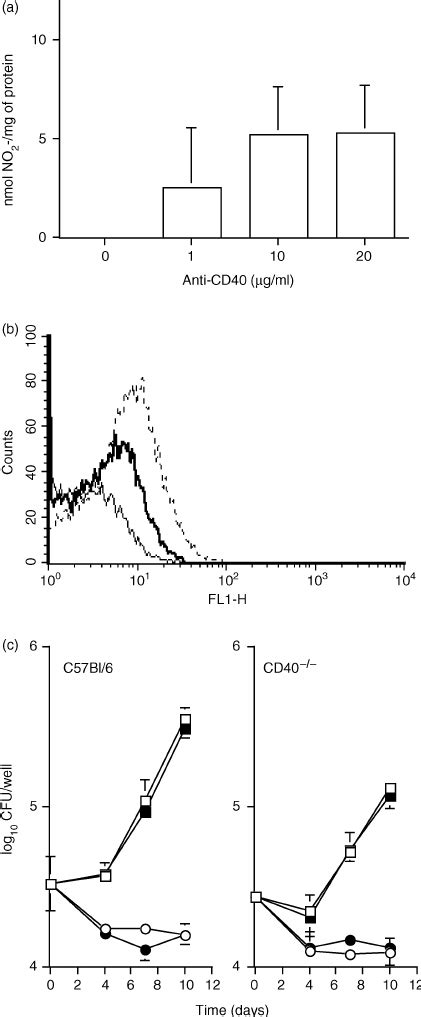 A Secretion Of Nitrite By C57bl6 Bone Marrow Derived Macrophages