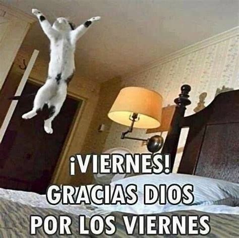 Im Genes Fotos Y Gifs Con Frases De Viernes Para Compartir Y Desear Un