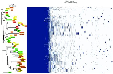 Graphical Representation Of The Pangenome Analysis Of The 65 Strains