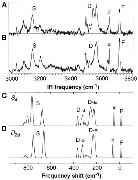 Infrared Spectrum Of A Molecular Ice Cube The S4 And D2d Water Octamers In Benzene Water 8