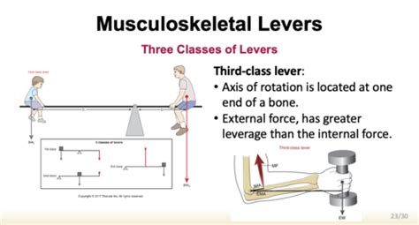 Msk Arthrokinematicsosteokinematics Flashcards Quizlet