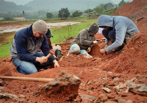 Dinosaur Fossil Over 230 Million Years Old Is Found In Rio Grande Do