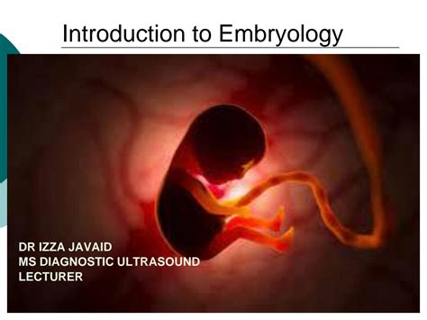 Solution Introduction To Embryology Studypool