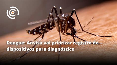 Dengue Anvisa vai priorizar registro de dispositivos para diagnóstico