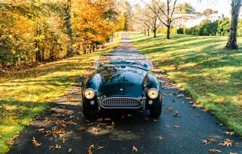 Wallpaper Shelby Front View Shelby Cobra 289 Cobra For Mobile And
