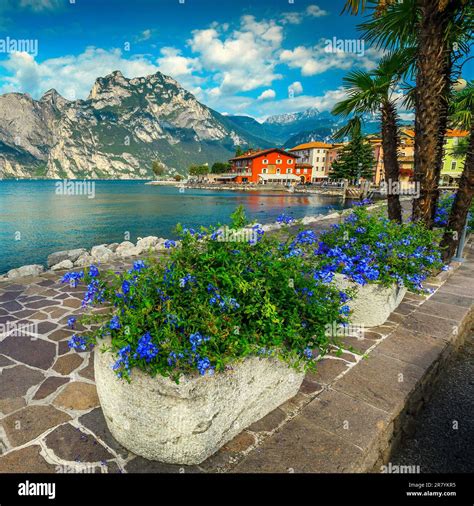 Fantastic Shoreline And Picturesque Promenade Decorated With Flowers