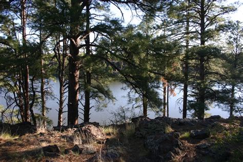 Waterfront Tent Campsite At Fool Hollow Lake AZ Country Roads