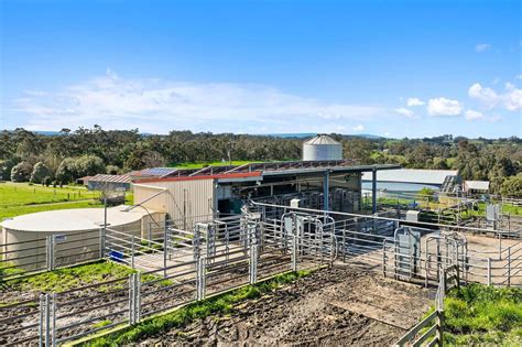 Dairy Farms For Sale Vic Opportunities In Buoyant Market