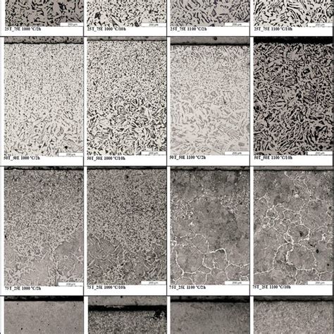 Cross Sections Optical Micrographs Mag 100x Of Aisi 1020 Steel