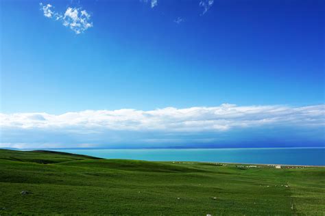 Online Crop Green Grass Field Grass Landscape Sky Nature HD