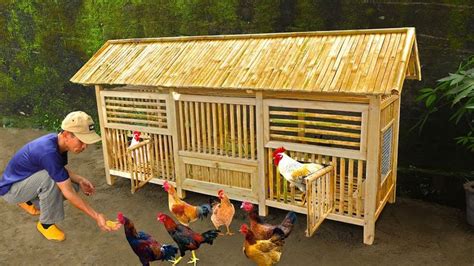 DIY chicken cage for small space | Make coop from bamboo