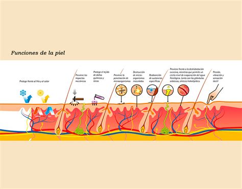 Dermatolog A Monterrey Dermatik