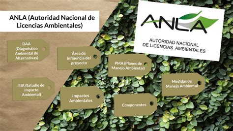 La Anla Y Los Estudios Del Impacto Ambiental By Julieth Andrea Cano