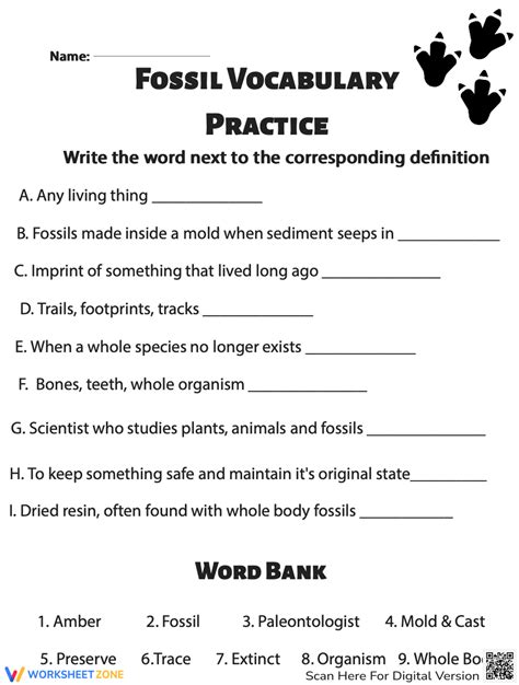 Fossil Vocabulary Practice Worksheet