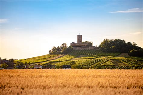 Burg Steinsberg Tour Wanderung Sinsheim