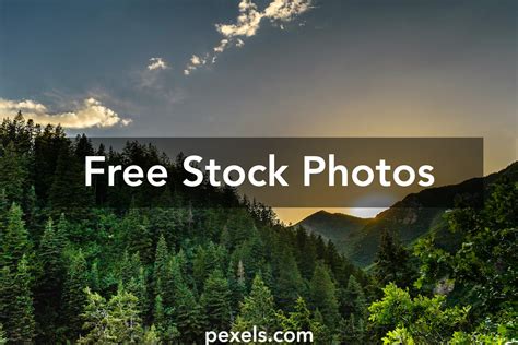 Dark Mountain Aand Forest Background Photos Download The Best Free