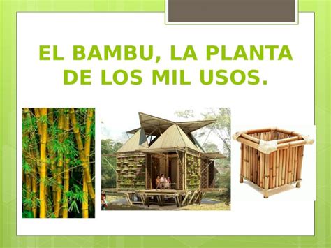 PPTX El Bambu La Planta De Los Mil Usos PDFSLIDE NET