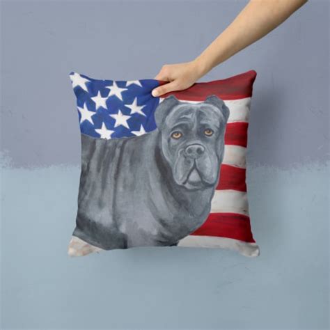 Carolines Treasures Bb9694pw1414 Cane Corso Patriotic Fabric Decorative Pillow 14hx14w Qfc