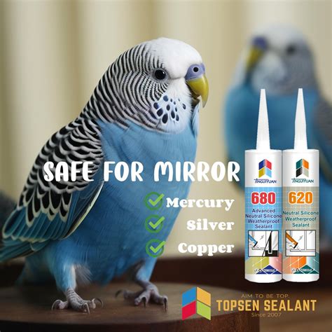 Topsen Mirror Safe No Corrosive Neutral Curing Silicon Glue China