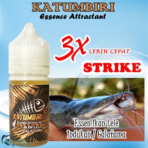 Jual Katumbiri Essen Mancing Ikan Lele Galatama Indukan Babon Shopee