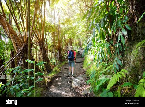 Tourist Hiking On Kilauea Iki Trail In Volcanoes National Park In Big