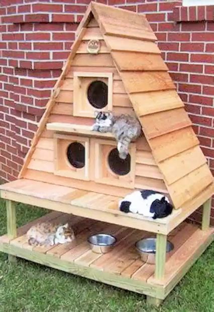 Casas Para Gatos Exterior Casera