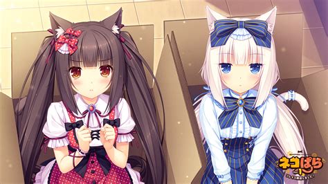 Nekopara Wallpapers - Top Free Nekopara Backgrounds - WallpaperAccess